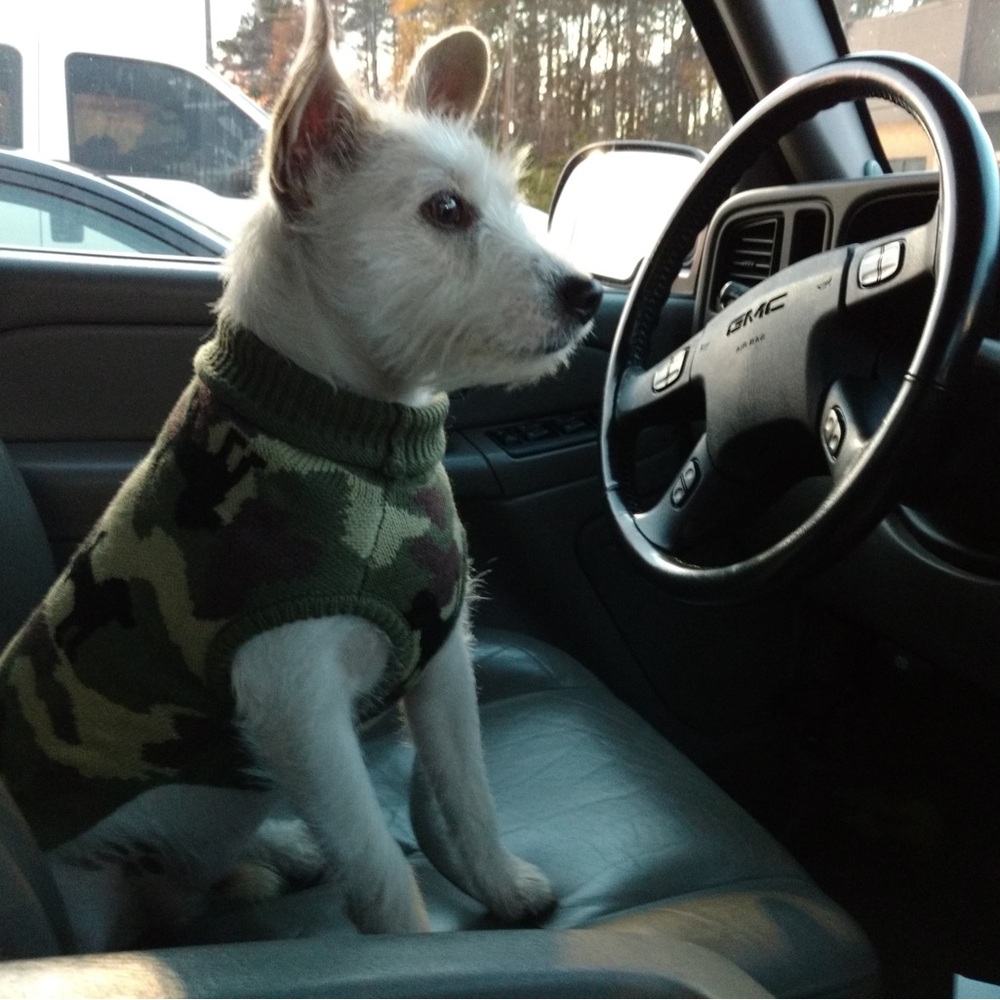 Camouflage Dog Sweater